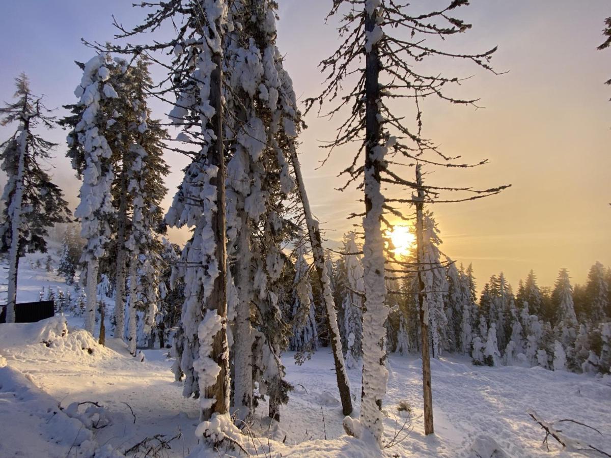 Yager Chalet Poiana Brasov Luaran gambar