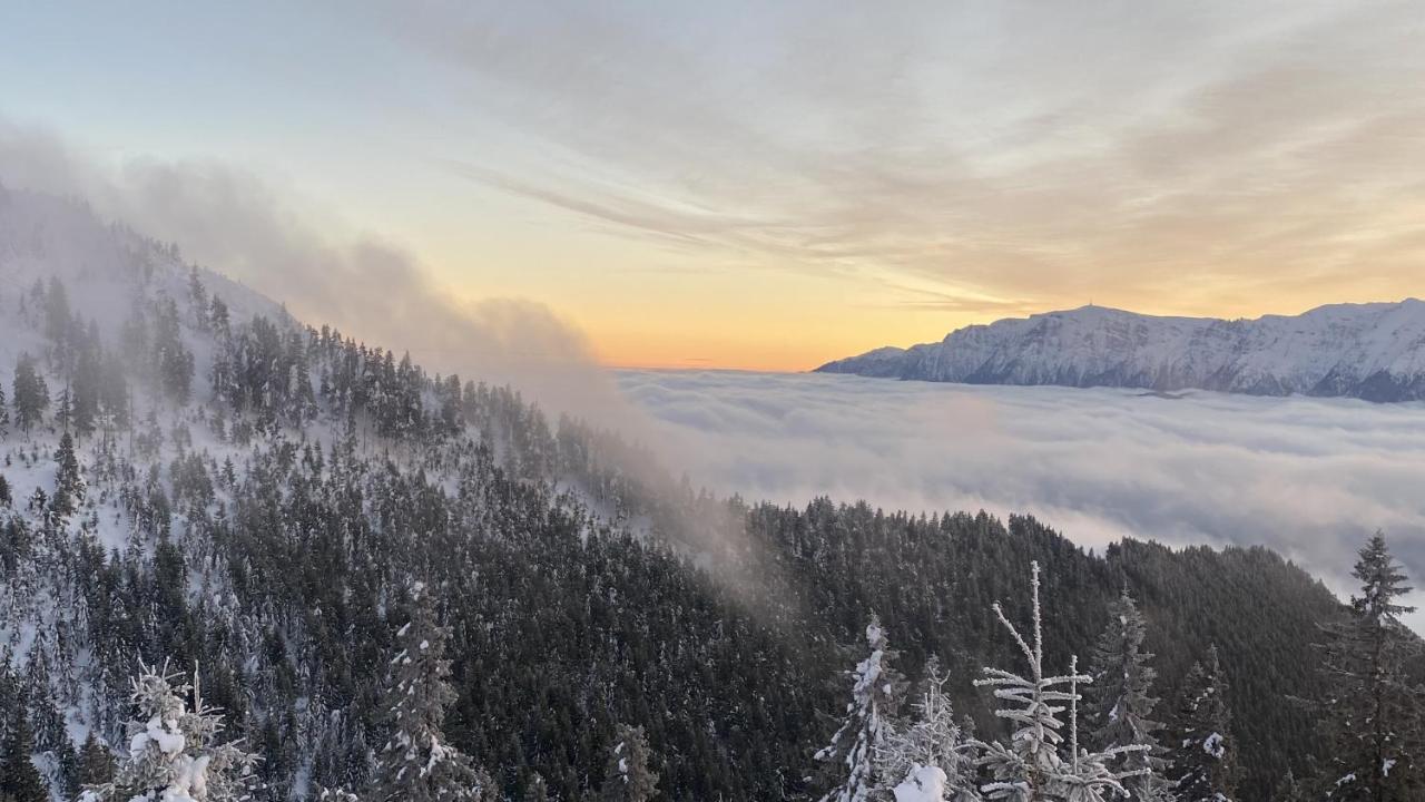 Yager Chalet Poiana Brasov Luaran gambar